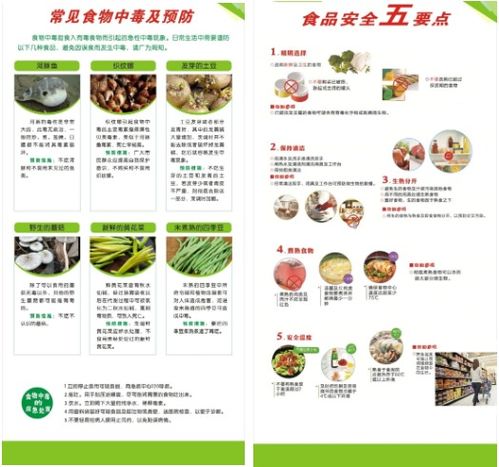 食安游园会 将食品安全带进校园的生动实践